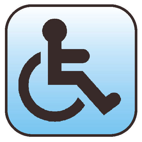 Disabilità